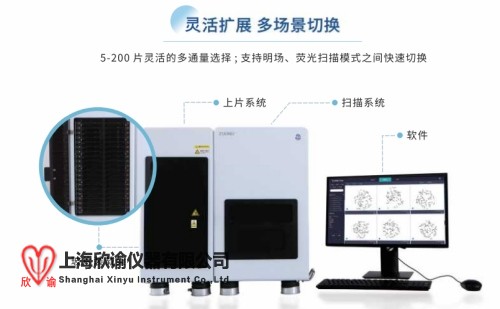 染色体分析160片高通量分析系统畸变微核分析系统XY-AIS-160图像分析系统