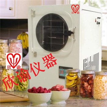 上海家用水果冻干机XY-FD-L1A台式小型冷冻干燥机实验用真空冷冻干燥机