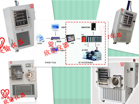 上海中试冷冻干燥机、欣谕XY-FD-S2冻干机、真空冷冻干燥机一览表