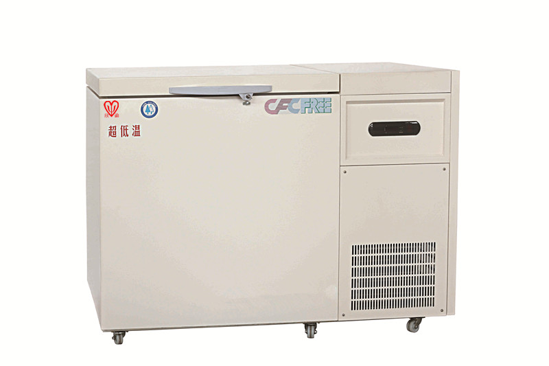 欣谕XY-40-120W超低温冰箱，卧式-40度低温冰箱的照片