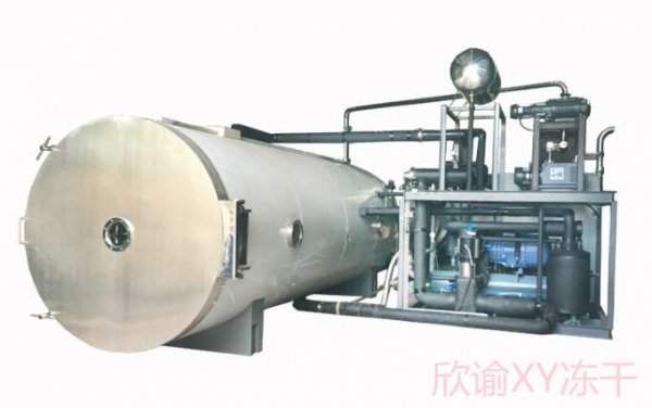 欣谕大型冻干机生产型食品冷冻干燥机高分子石墨烯真空冷冻干燥机XY-GY-1000上海水果冰冻干燥机