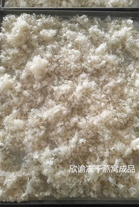 燕窝冻干成品.jpg